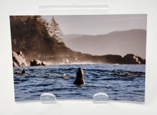 Load image into Gallery viewer, Postcards by Kimberley Kufaas