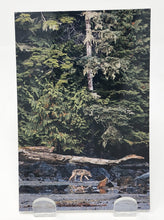 Load image into Gallery viewer, Postcards by Kimberley Kufaas