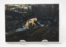 Load image into Gallery viewer, Greeting Cards by Kimberley Kufaas