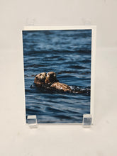 Load image into Gallery viewer, Greeting Cards by Kimberley Kufaas