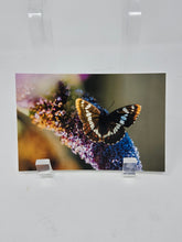Load image into Gallery viewer, Postcards by Kimberley Kufaas