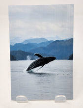 Load image into Gallery viewer, Postcards by Kimberley Kufaas