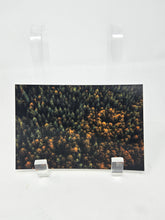Load image into Gallery viewer, Postcards by Kimberley Kufaas