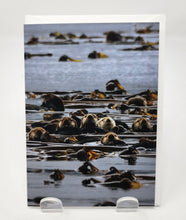 Load image into Gallery viewer, Greeting Cards by Kimberley Kufaas