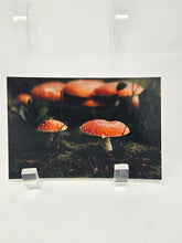 Load image into Gallery viewer, Postcards by Kimberley Kufaas