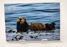 Load image into Gallery viewer, Greeting Cards by Kimberley Kufaas