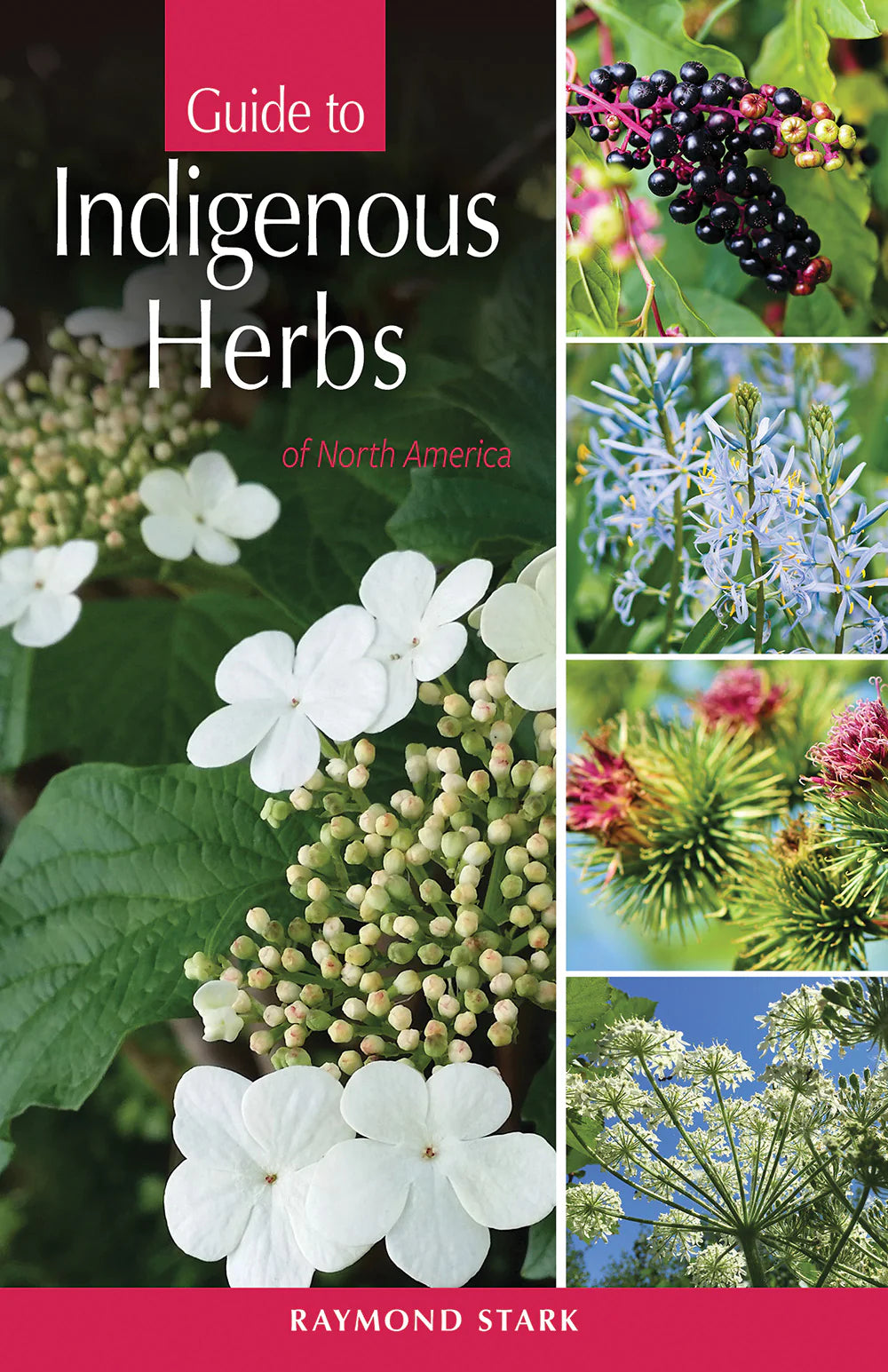 Guide to Indigenous Herbs of North America
