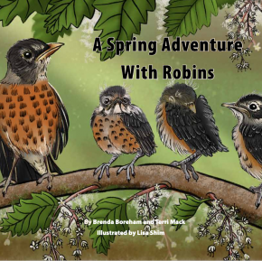A Spring Adventure with Robins