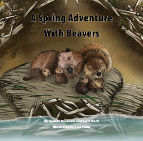 A Spring Adventure with Beavers