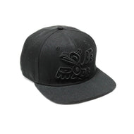 Snap Back Hats - Raven by Allan Weir