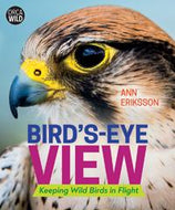 Bird's-Eye View: Keeping Wild Birds in Flight