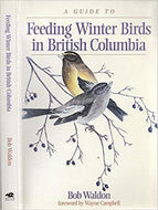 A Guide to Feeding Winter Birds in British Columbia