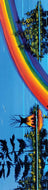 Bookmark - Rainbow - William Monague