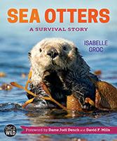 Sea Otters A Survival Story