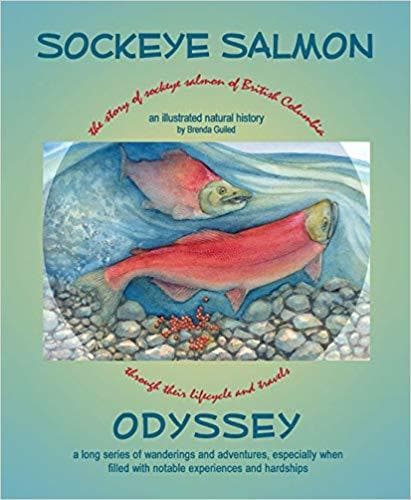 Sockeye Salmon Odyssey