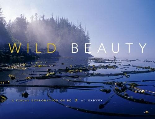 Wild Beauty A Visual Exploration of BC
